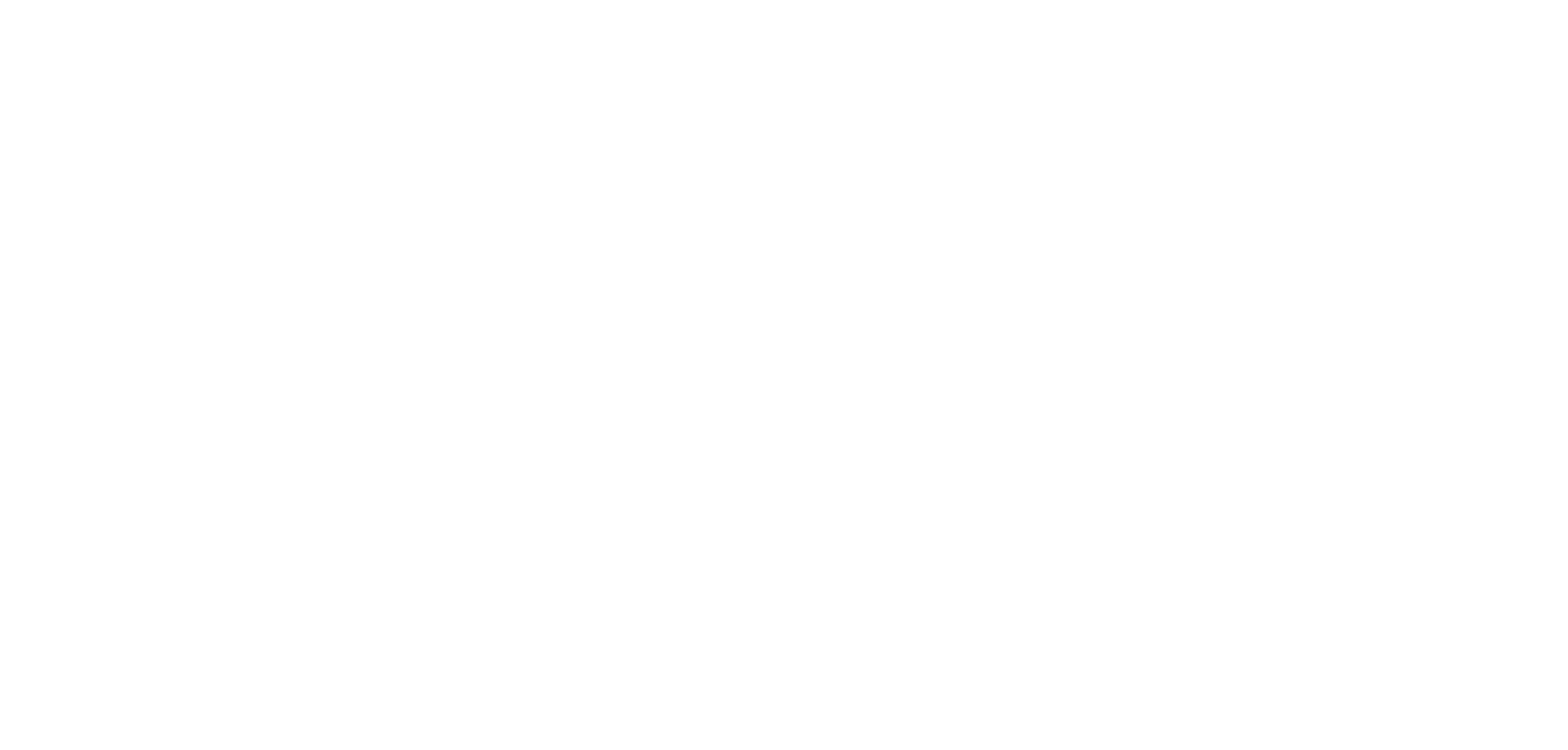 Palm Beach logo